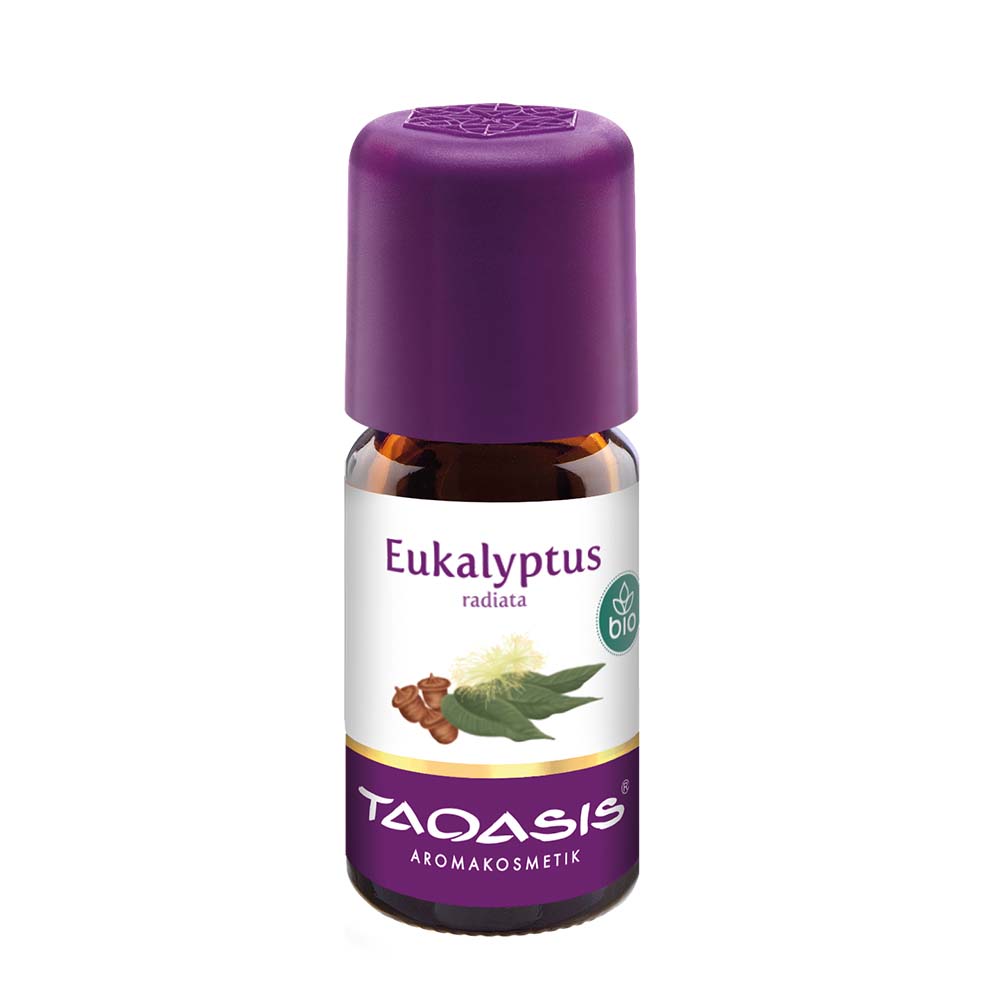 Eukaliptus radiata 5 ml BIO, Eucalyptus radiata